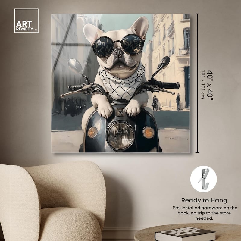 Frenchie on a Scooter Drive Acrylic by Art Remedy, Ready to Hang