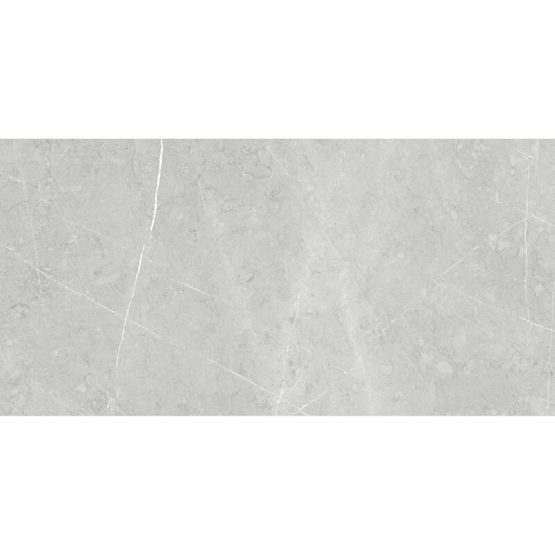 The Tile Life Alastair 24x48 Silver Porcelain Floor & Wall Tile