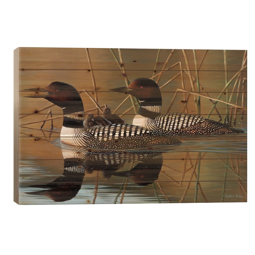 Loons And Chick Print On Wood by Cynthie Fisher - Multi-Color