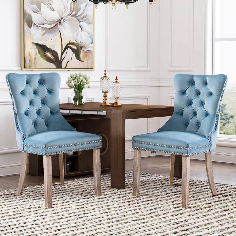 Set of 2 Modern Velvet Dining Chairs – Upholstered Side Chairs with Nailhead Trim and Solid Wood Legs for Kitchen & Dining Room