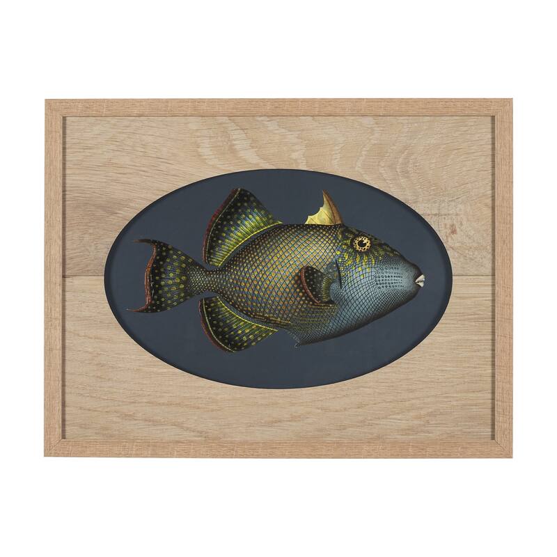 Pseudobalistes Fuscus Framed Art Print