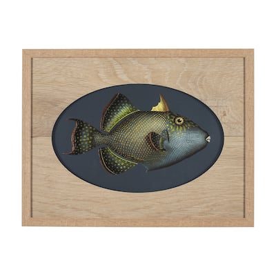 Pseudobalistes Fuscus Framed Art Print