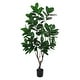 5ft Artificial Magnolia Tree Leaf Tree in Black Pot - 60