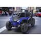 Option Blue