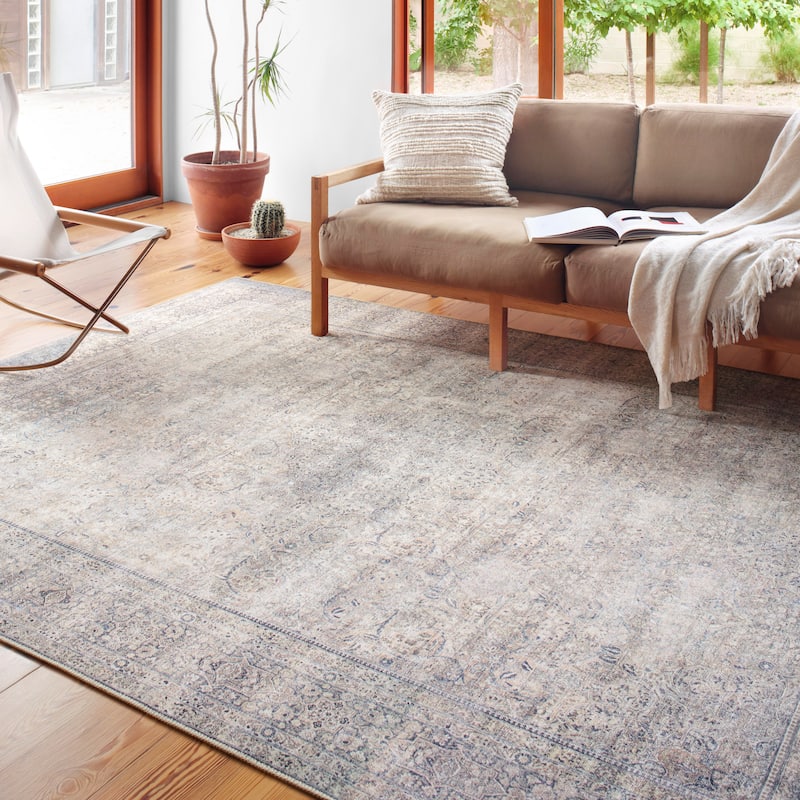 Alexander Home Sophia Printed Vintage Botanical Area Rug - 3' 6" x 5' 6" - silver / charcoal - Runner/Rectangle