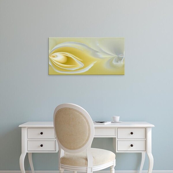 Easy Art Prints Adam Jones's 'White Rose Close