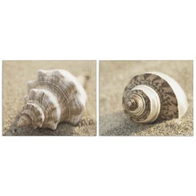 Stupell Neutral Tone Sea Life Canvas Wall Art Design By Dora Rotondella (Set of 2)
