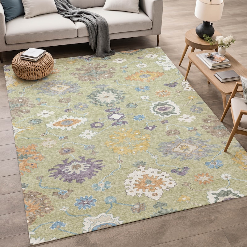 Machine Washable Indoor/ Outdoor Traditonal Delhi Chantille Rug