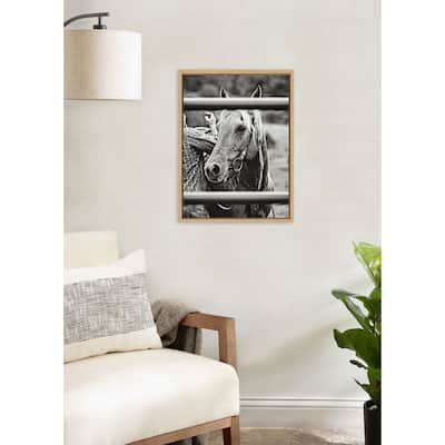 Kate and Laurel Sylvie Photo Saddling Horse Framed Canvas by The Whiskey Ginger