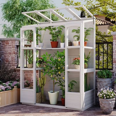 Wooden Walk-in Outdoor Greenhouse with 2 Folding Middle Shelves, Cold Frame Plant Stand with 4 Independent Skylights
