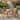 Christopher Knight Home - Modern 5-Piece Acacia Wood Square Outdoor Dining Set with Slatted Chairs in Teak Finish