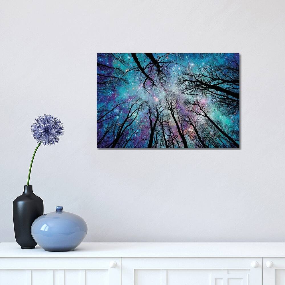 iCanvas "Starlight" by Ros Berryman Canvas Print