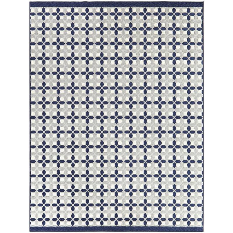 Francois Transitional Checkered Indoor/Outdoor Area Rug