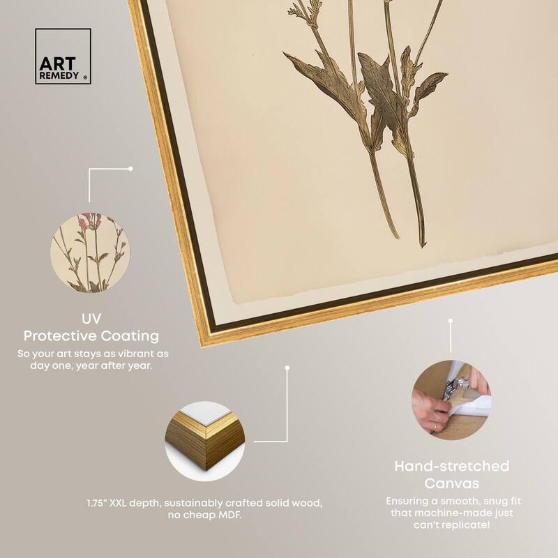 Dried Flower Canvas by Art Remedy