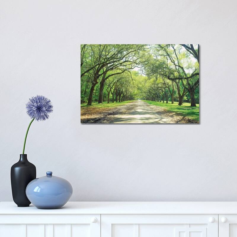 iCanvas "Live Oaks And Spanish Moss Wormsloe State Historic Site Savannah, Georgia" by Panoramic Images Canvas Print - 12x18x1.5