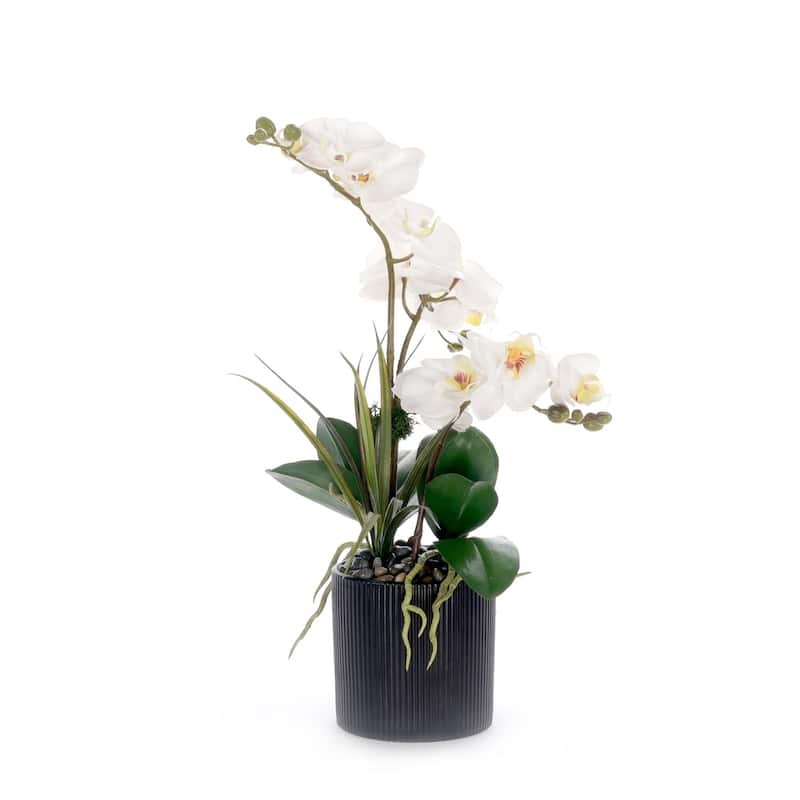 Real Touch White Orchid Flower Arrangement in Black Pot
