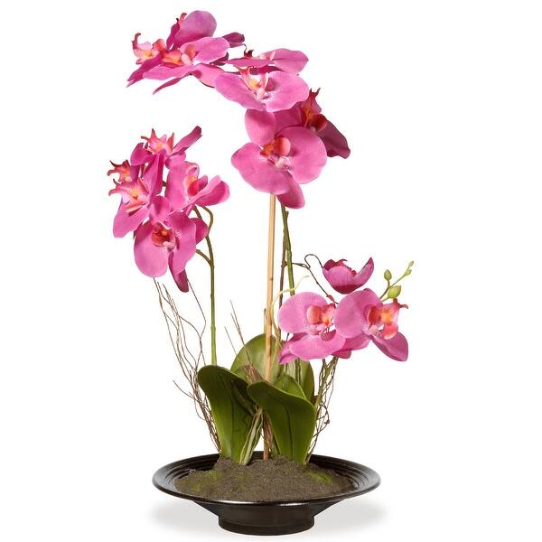 Shop 17 Potted Pink Orchid Flowers Overstock 25448994