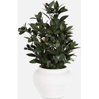 Uttermost 60236 Elena Olive 28" Tall Ceramic Faux Flora Planter