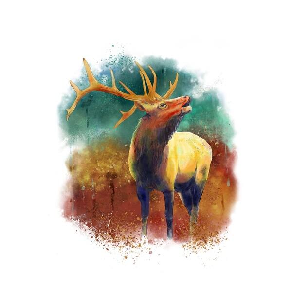 Shop Elk Watercolor Lantern Press Artwork Art Print