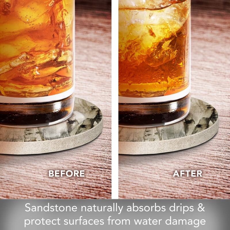 Neutral Birch Trees 4 Pack Round Natural Sandstone Coasters with Protective Cork Backing Manufactured in The USA