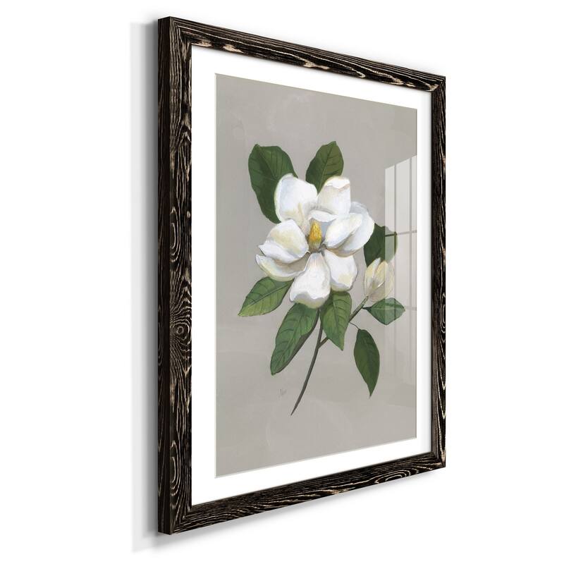Botanical Magnolia-Premium Framed Print - Ready to Hang