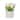 National Tree Company 10 in. Pink Tulip Bouquet in White Basket - 10 in