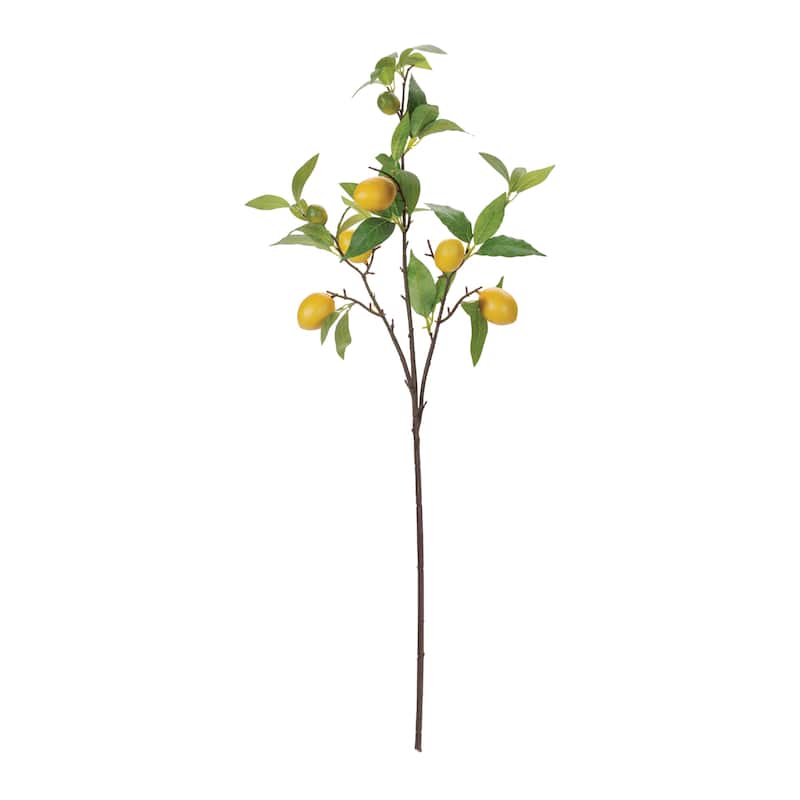 Lemon Fruit Foliage Branch (Set of 6)