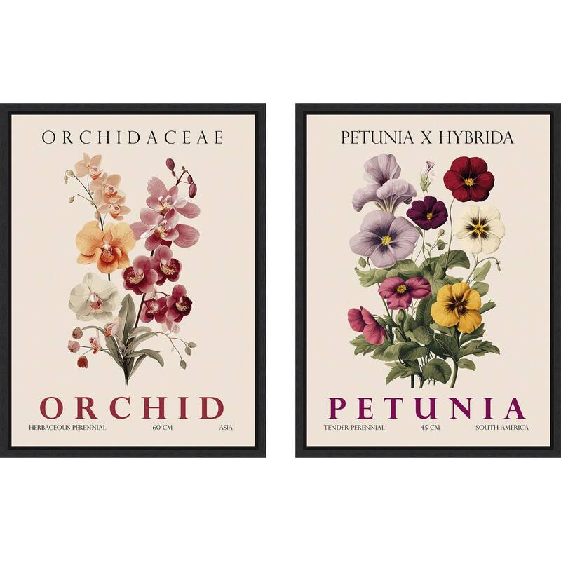 Amanti Art Vintage Orchid Petunia & Hydrangea 2 Piece by Christopher Giampietro Framed Canvas Wall Art