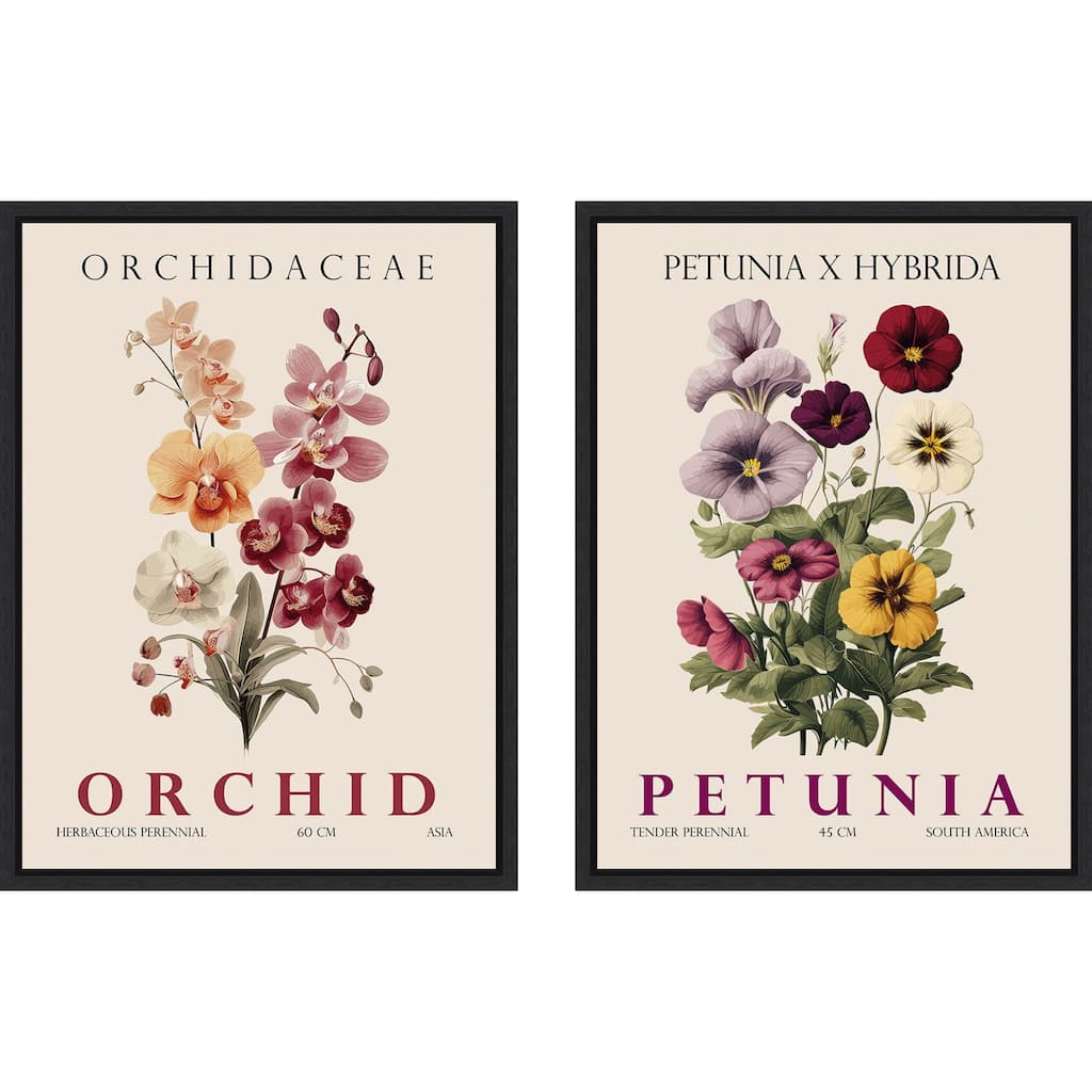 Amanti Art Vintage Orchid Petunia & Hydrangea 2 Piece by Christopher Giampietro Framed Canvas Wall Art