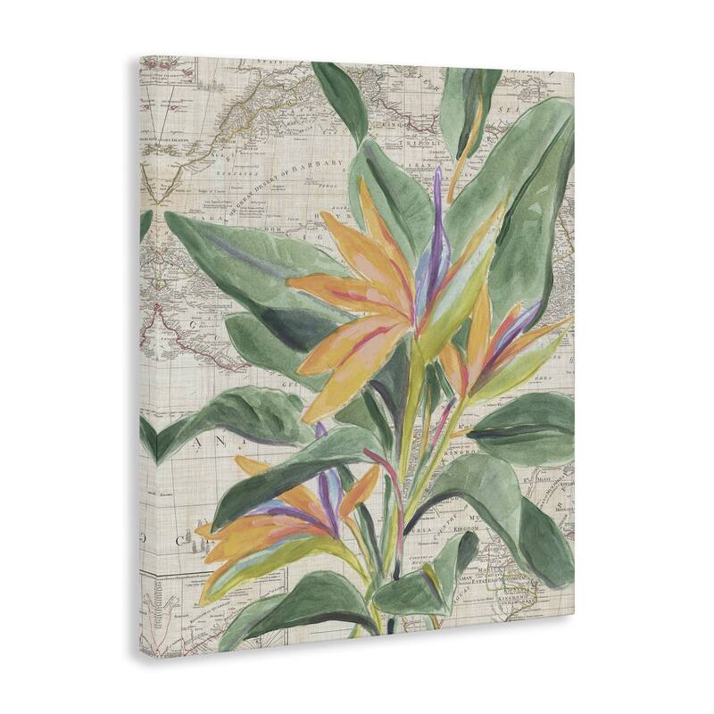 Stupell Tropical Flower over Map Canvas Wall Art Design By June Erica Vess