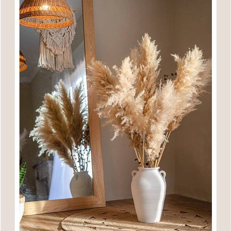 RusticReach Natural Reed Stem 10 Stem Set 51" Tall - Beige