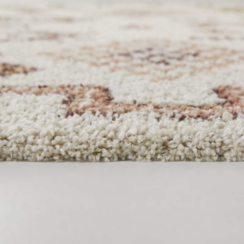 Felipe Southwestern Shag Area Rug