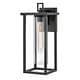 preview thumbnail 1 of 7, Lark 81424 Mateo 17" Tall Outdoor Wall Sconce with Clear Glass Shade Black