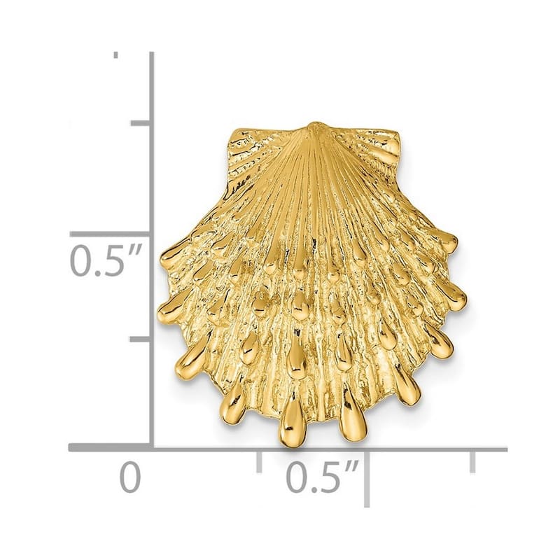 Curata 14k Yellow Gold Textured Lions Paw Shell Slide Pendant Necklace (16mm x 18mm)