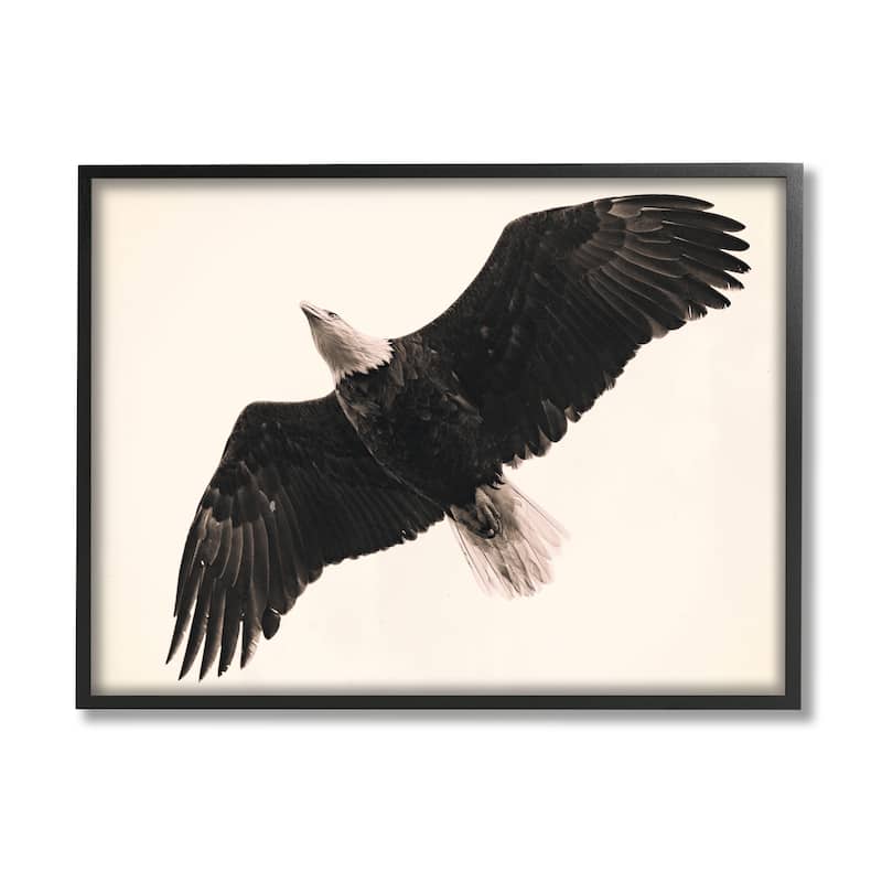 Stupell Eagle Flying Overhead Vintage Bird Sepia Tone Photography Framed Wall Art - Black