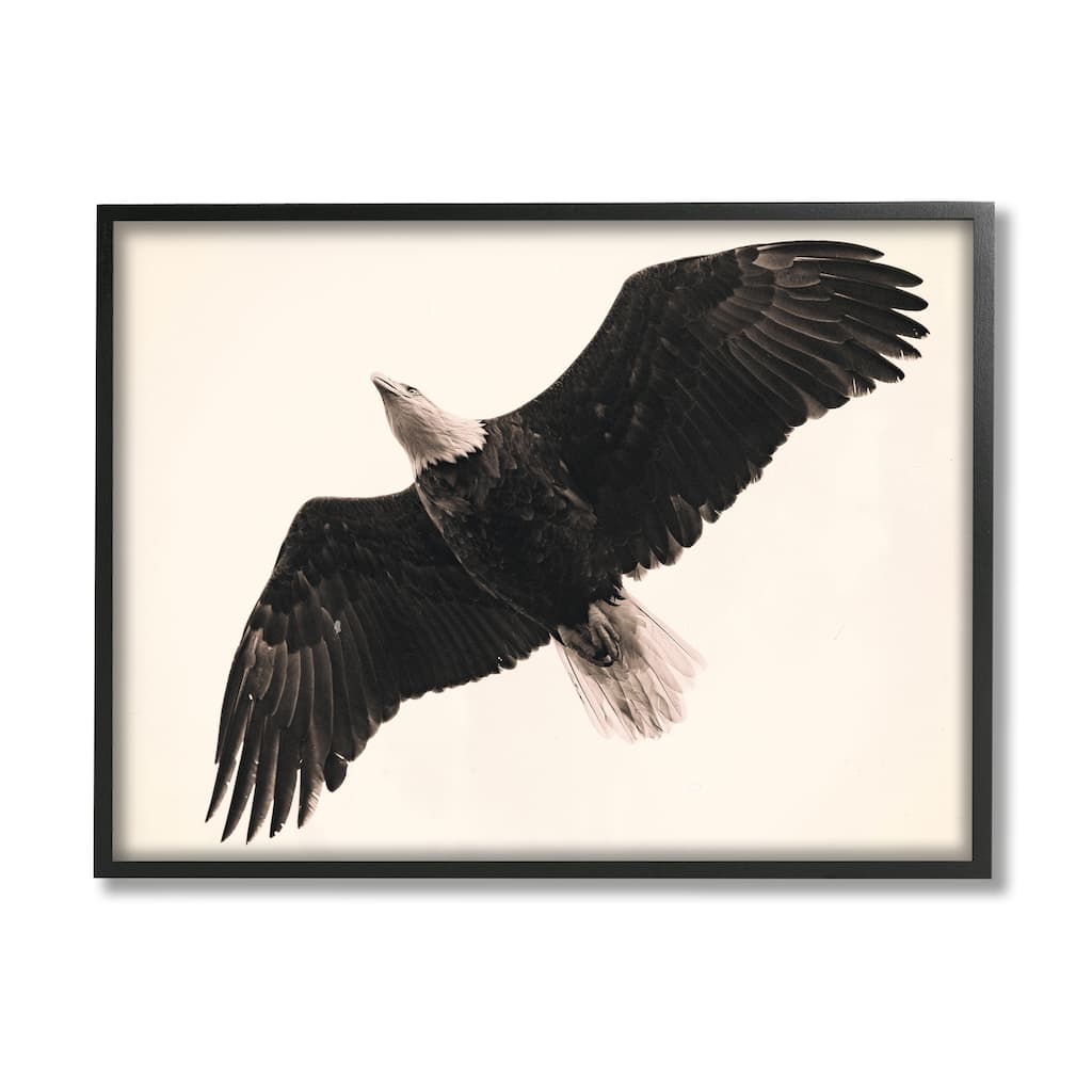 Stupell Eagle Flying Overhead Vintage Bird Sepia Tone Photography Framed Wall Art - Black