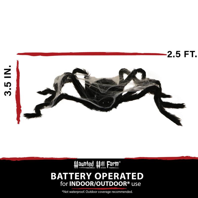 Haunted Hill Farm 2.5-ft. Spider with Web, Indoor/Covered Outdoor Halloween Decoration, LED Red Eyes, Poseable, Cobweb