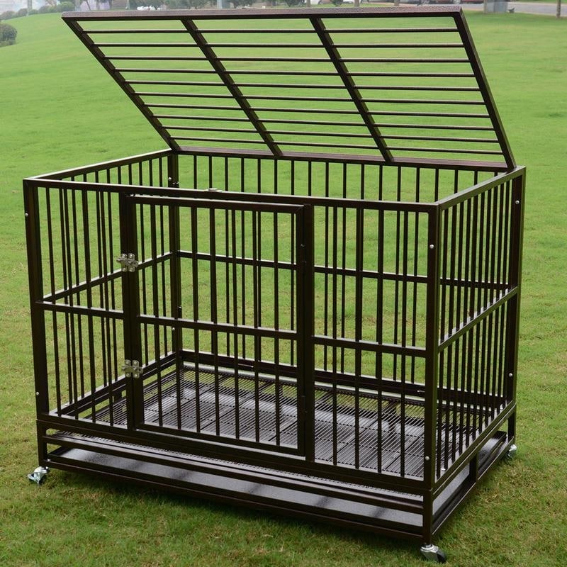 inescapable dog cage