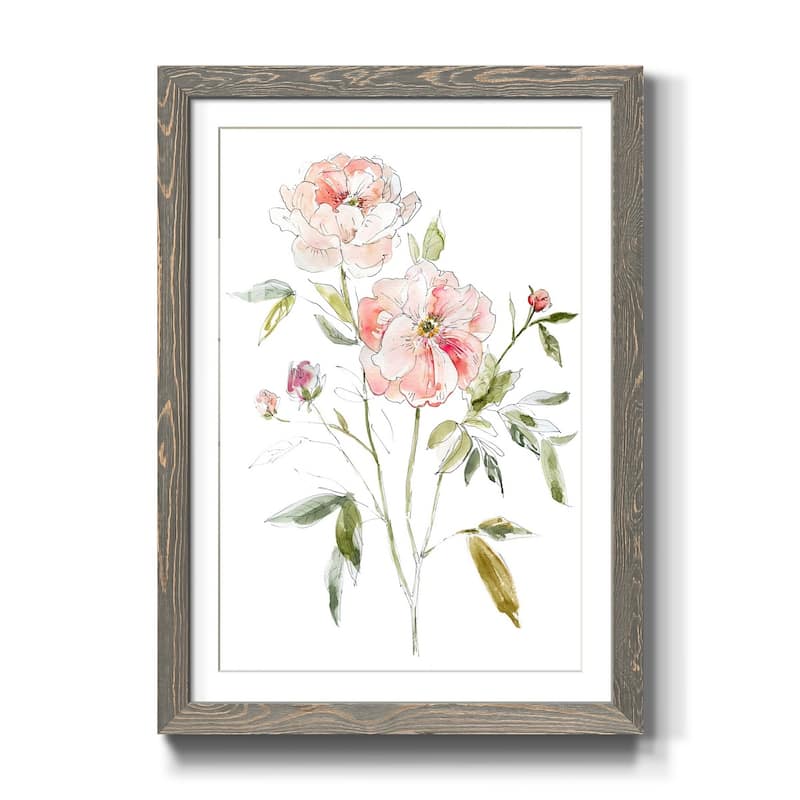 Sketchbook Cottage Rose I-Premium Framed Print - Ready to Hang