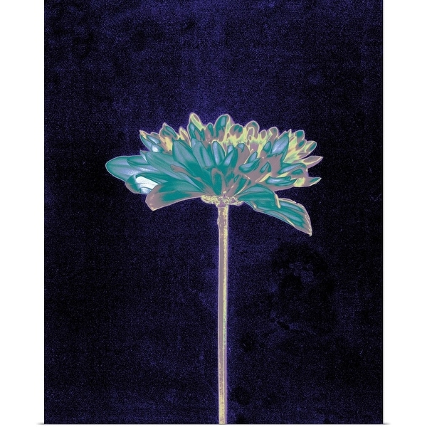 "Multicolored Single Flower" Poster Print