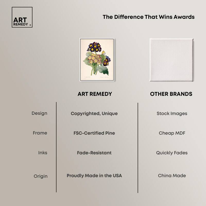 Auricula Varieties Canvas by Art Remedy