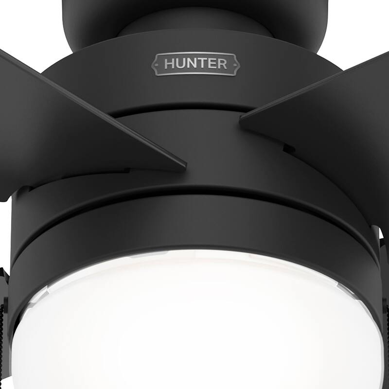 Hunter 52" Timpani Ceiling Fan w/ LED Light, Pull Chain