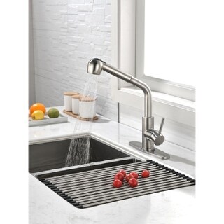OakBrook Tucana Pull-Out One Handle Brushed Nickel Pull Out ...