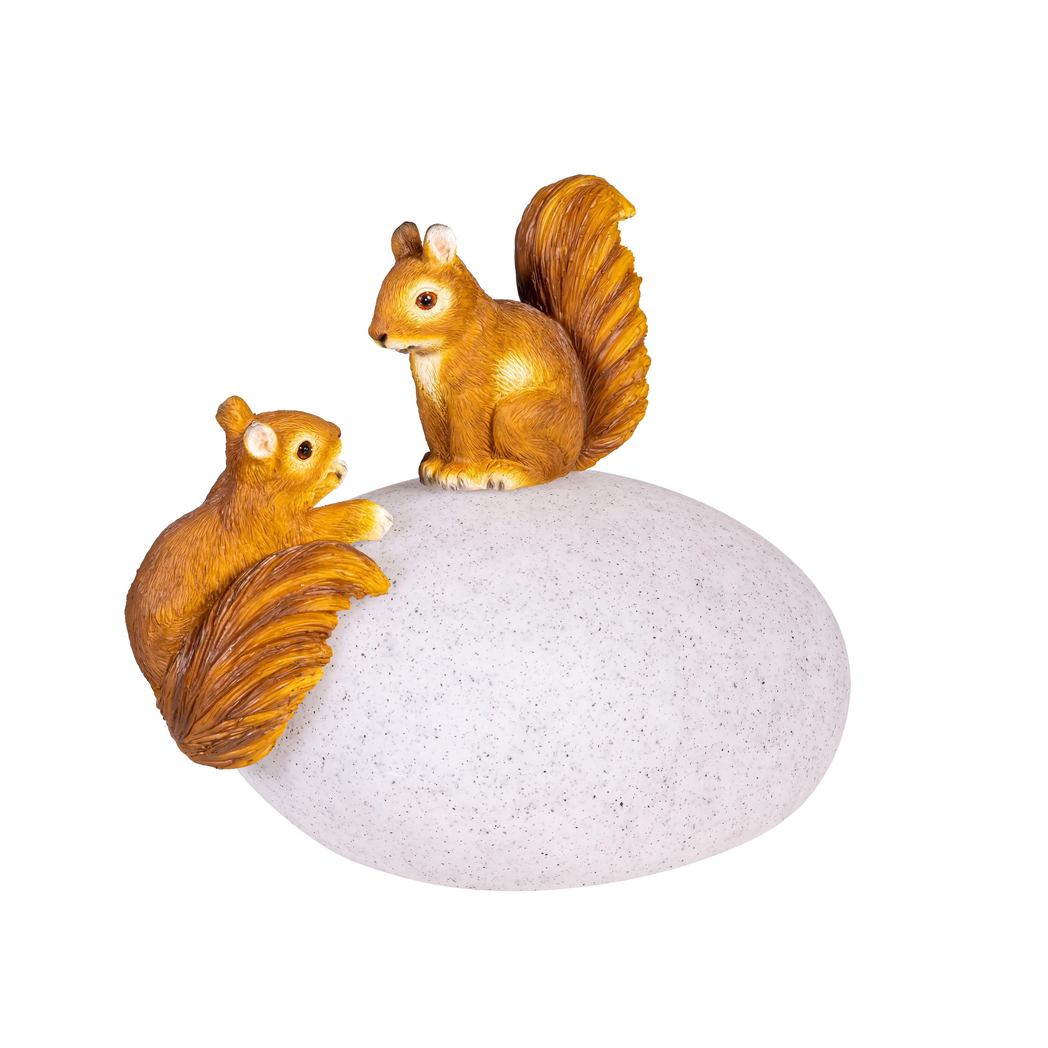 Option Squirrel