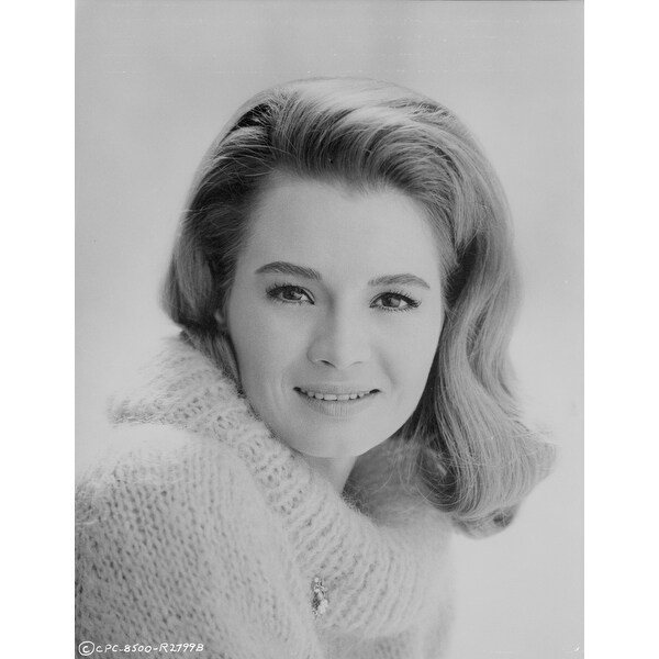 Angie Dickinson in Sweater Classic Close Up Portrait Photo Print ...