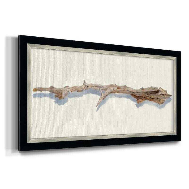 Driftwood Study I Premium Framed Canvas- Ready to Hang