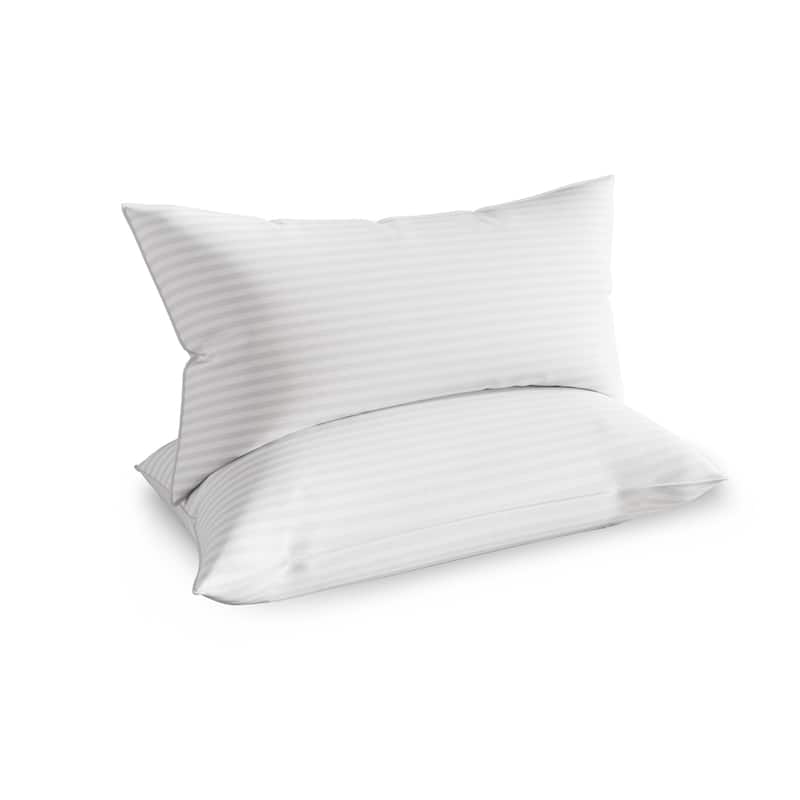 CraftPorch Elegence 2 Pieces Pillow