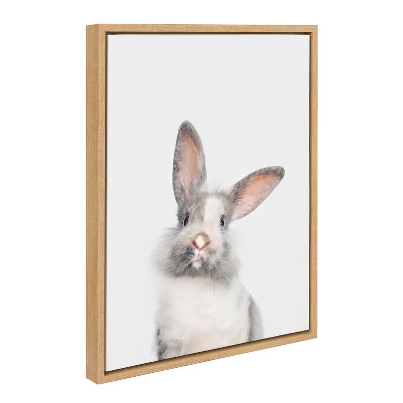 Sylvie M Baby Bunny Rabbit Animal Print Framed Canvas by Amy Peterson - Plastic - 18x24 - Brown