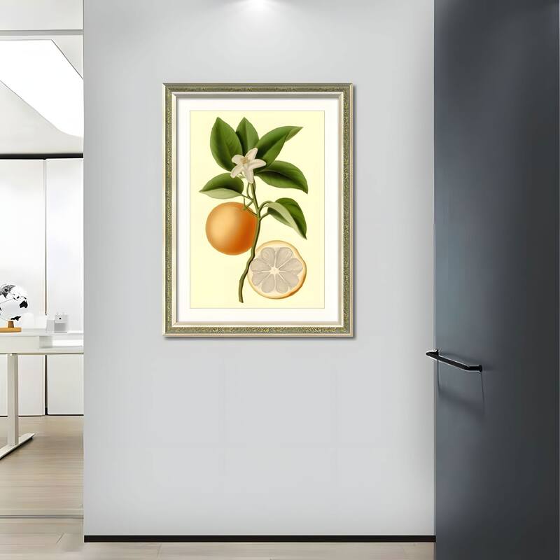 Set of 2 Orange Fruit Botanical Framed Wall Art - Replaceable Canvas Prints with Solid Wood Picture Frames - Green,Orange