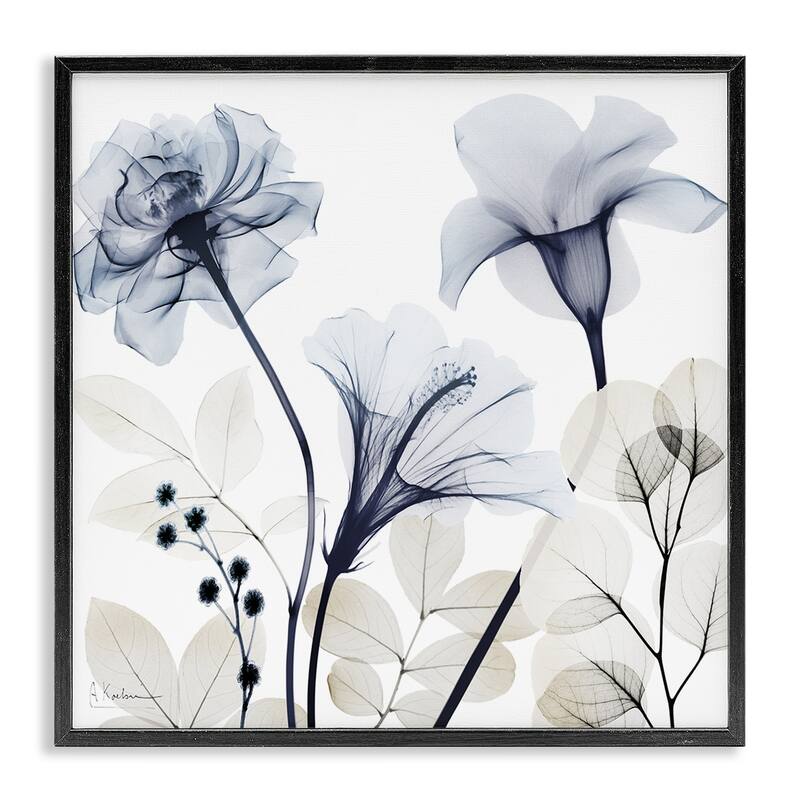 Stupell Sophisticated Minimal Flowers Framed Giclee Art Design By Albert Koetsier - 12 x 12 - Black